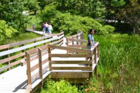 Boardwalk by the water