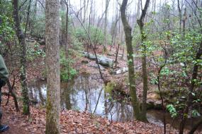 Stream winding through rocks