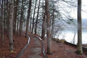 Gravel path along the banks of the lake