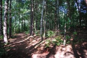 Curve in the trail