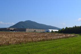 Mountain view beyond farm land