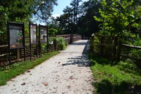 Bridge over creek