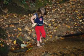 Young girl in creek