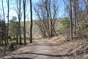 Fish Dam Creek Trail