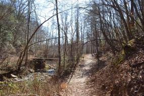 Fish Dam Creek TRACK trail 