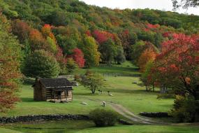 Log cabin on rolling hillside surrounded by trees in early fall
