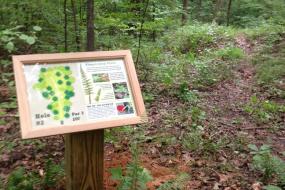 Nature sign at tee 2