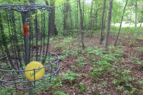Basket at hole 9
