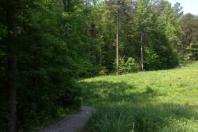 Gravel path through field