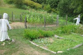 Scarecrows in the Johnson Farmstead garden