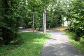 Paved path winding through trees
