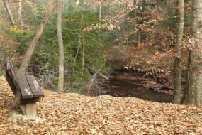 Bench overlooking stream