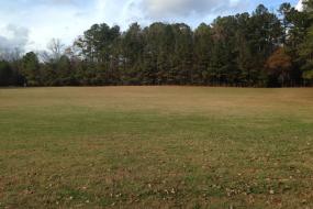 Open grassy lawn
