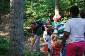 Group of children on guided hike on trail