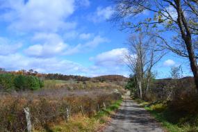 Gravel road through farm fields in autumn