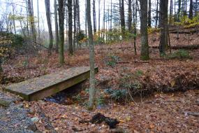 Wooden foot bridge over small stream
