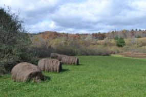 Hay bales in a mountain field