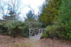 Bridge through a rhododendron thicket