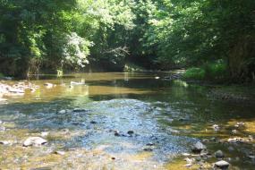 Rocky creek