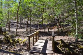 Wooden bridge across small stream