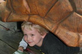 Young boy inside a large wooden turtle shell