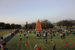 Crowd Surrounding the National Christmas Tree