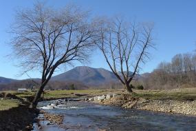 South Fork Rockfish River