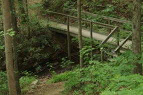 Picture of the Chimney Rock TRACK Trail