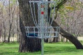 disc flying toward disc golf basket