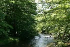 Big Hunting Creek