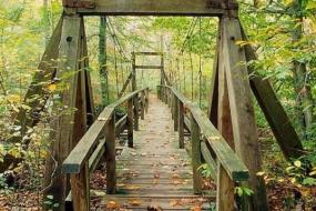 Wooden suspension bridge in autumn