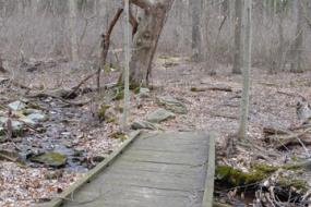 Wooden bridge over stream