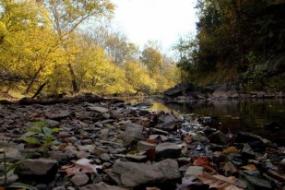 Rocks on Bull Run