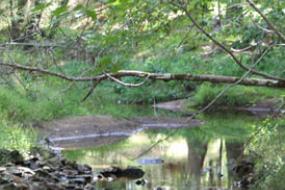 Rocky creek