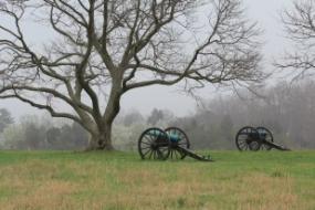 Cannons in the mist