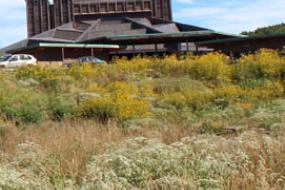 Visitor center by field