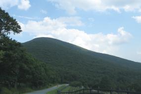 Road leading to Elk Knob