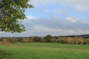 View across field