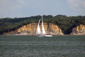 sail boat on the water
