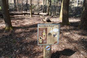 Nature Play Station 1