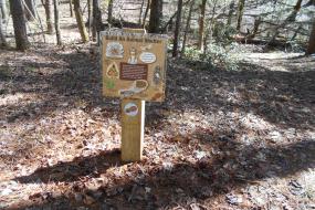 Nature Play Station 2
