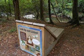 Nature Play Station 3