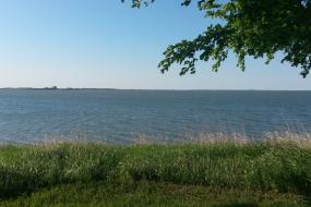 View over the lake