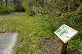 Hole 14 from the pad