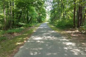 Paved Warren Creek Trail
