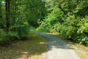 Paved trail