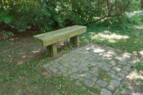 Bench in the shade