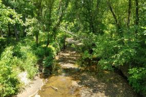 Sandy Creek