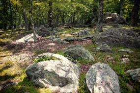 Rocky terrain