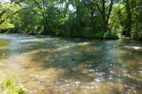 Swannanoa River
